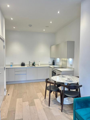 Luxury Modern 1 Bed Apartment